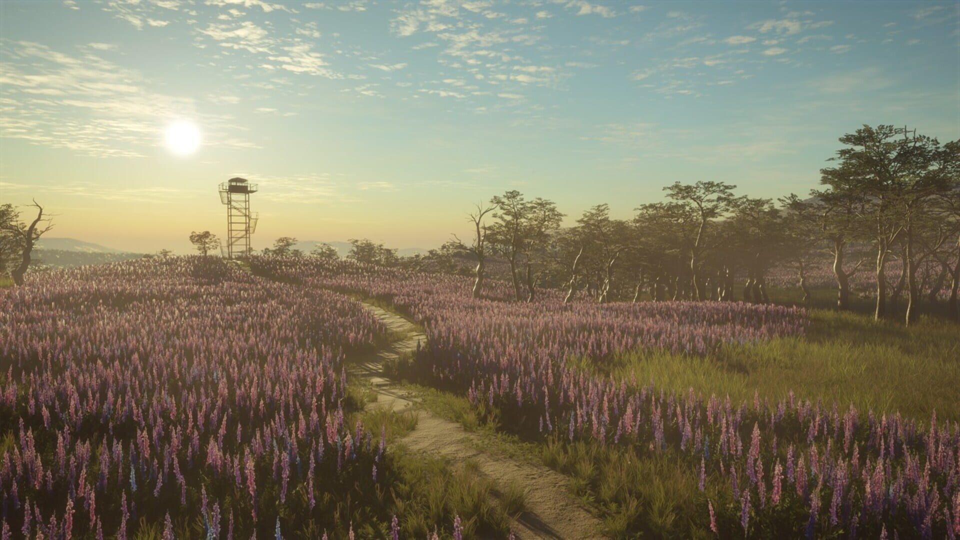 Screenshot for TheHunter: Call of the Wild - 2021 Edition