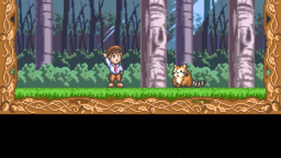 Screenshot for Raccoon Rascal