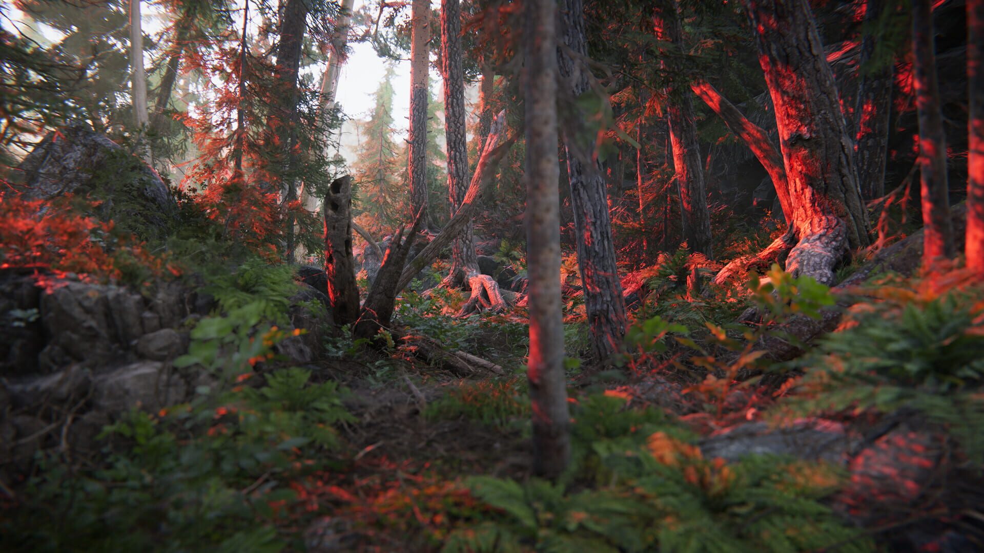 Screenshot for The Forest Cathedral