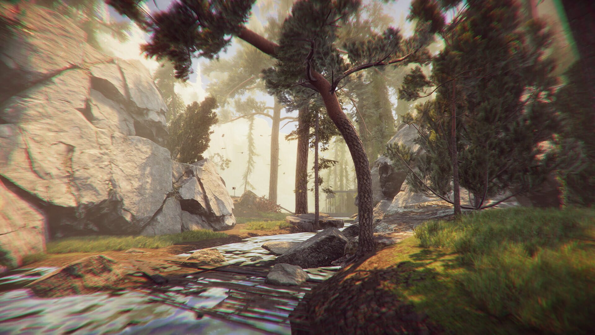 Screenshot for The Forest Cathedral