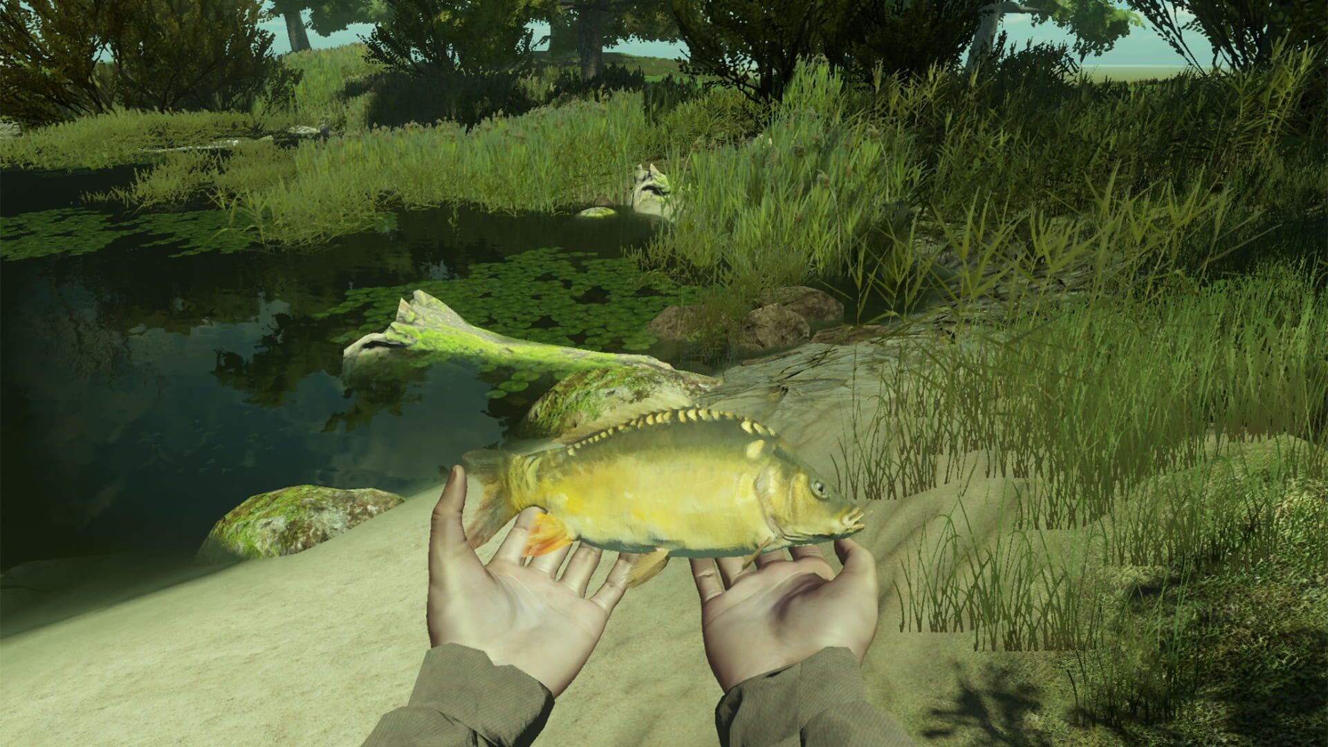 Screenshot for Professional Fishing