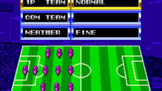 Screenshot for Tecmo World Cup Super Soccer