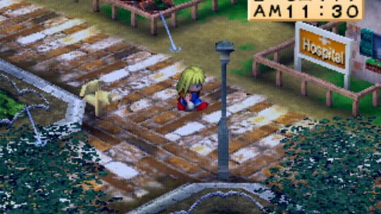 Screenshot for Harvest Moon for Girl