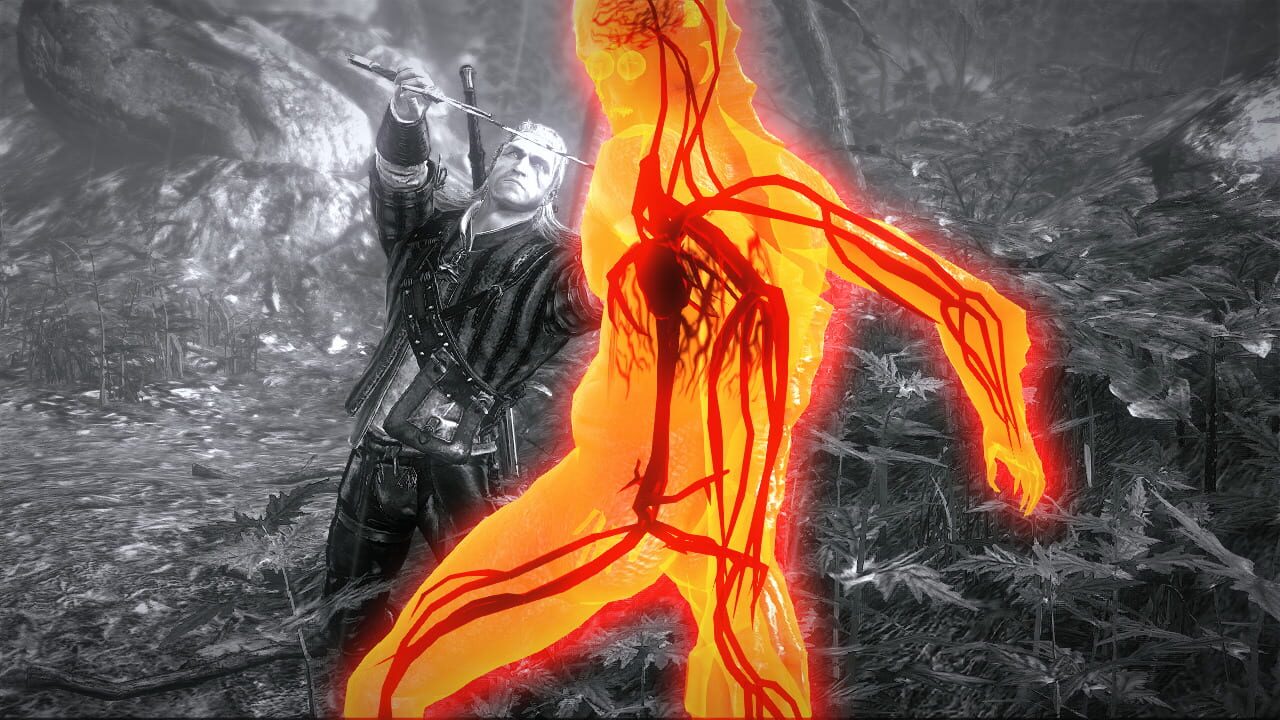Screenshot for The Witcher 2: Assassins of Kings