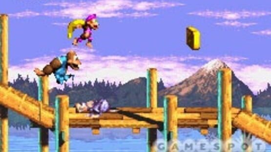 Screenshot for Donkey Kong Country 3