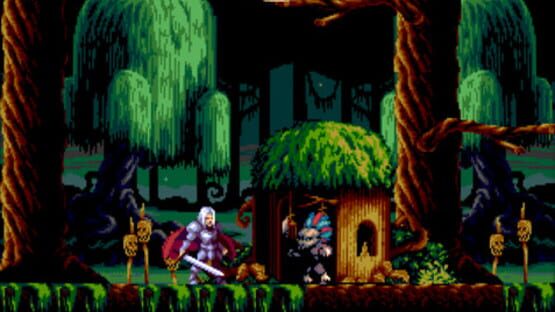 Screenshot for Demons of Asteborg