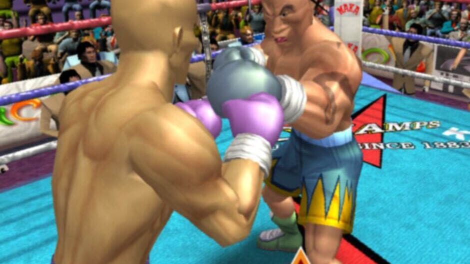 Screenshot for Heavyweight Thunder