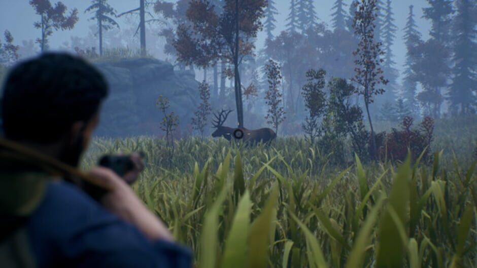 Screenshot for Open Country