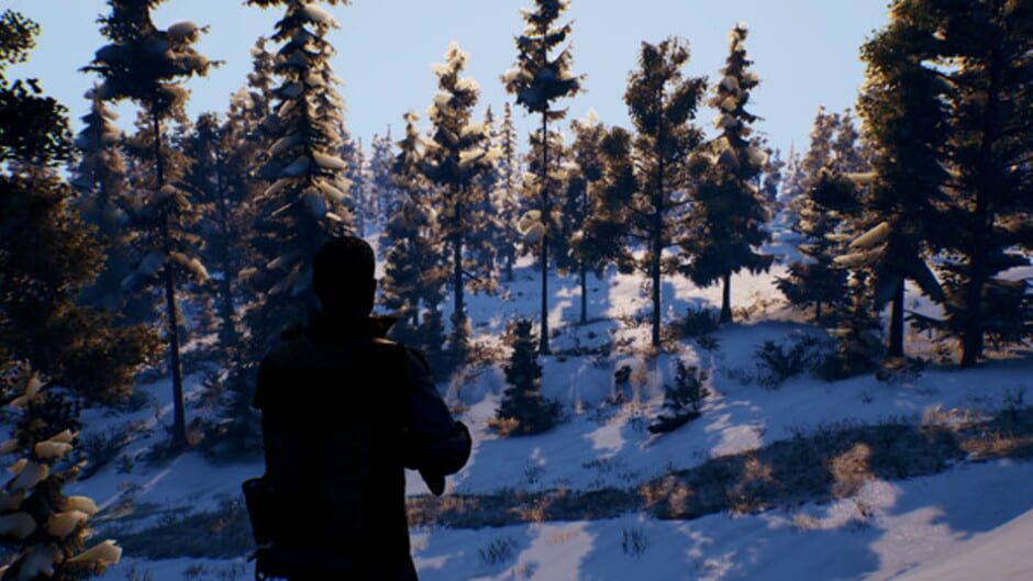 Screenshot for Open Country