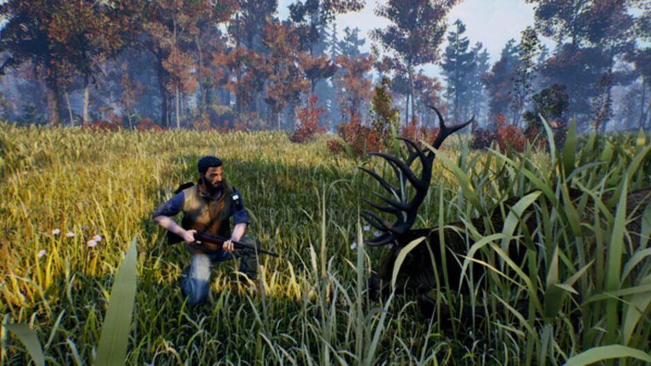 Screenshot for Open Country