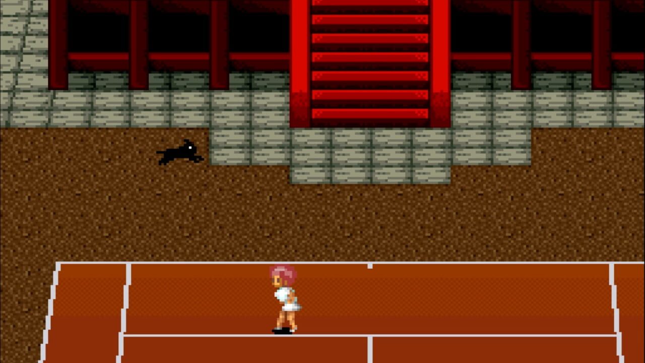 Screenshot for Smash Tennis