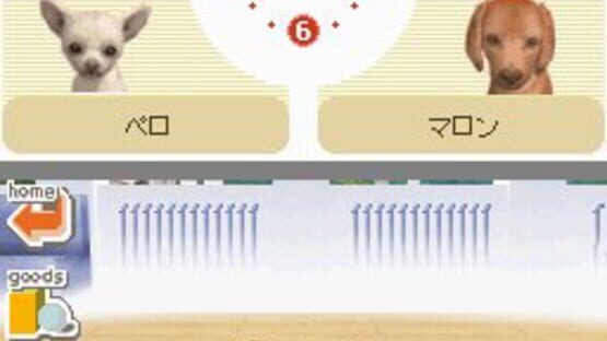 Screenshot for Nintendogs: Dachshund & Friends