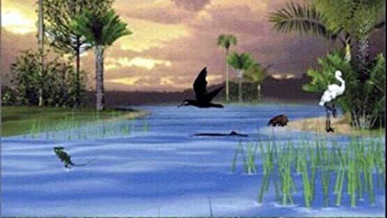 Screenshot for Amazon Trail 3rd Edition: Rainforest Adventures