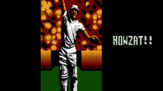 Screenshot for International Cricket