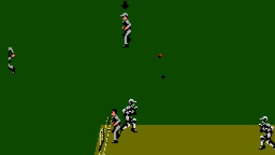 Screenshot for International Cricket