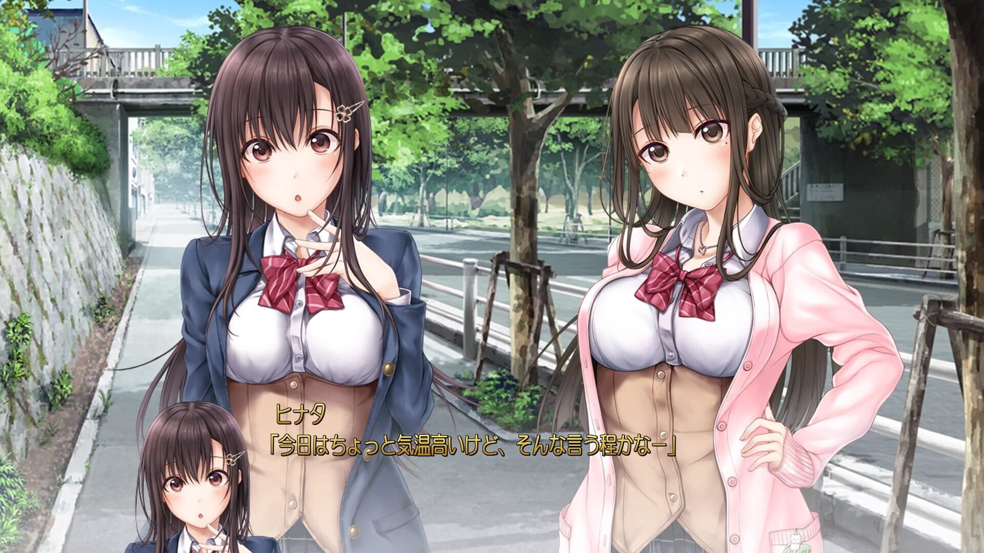 Screenshot for Aikiss 2