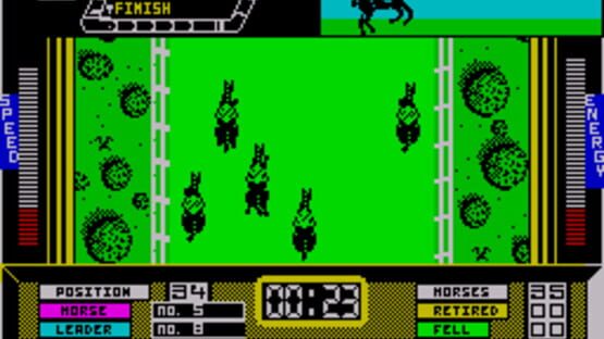 Screenshot for Grand National