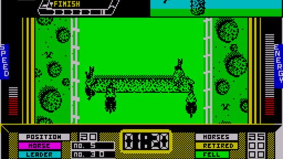 Screenshot for Grand National