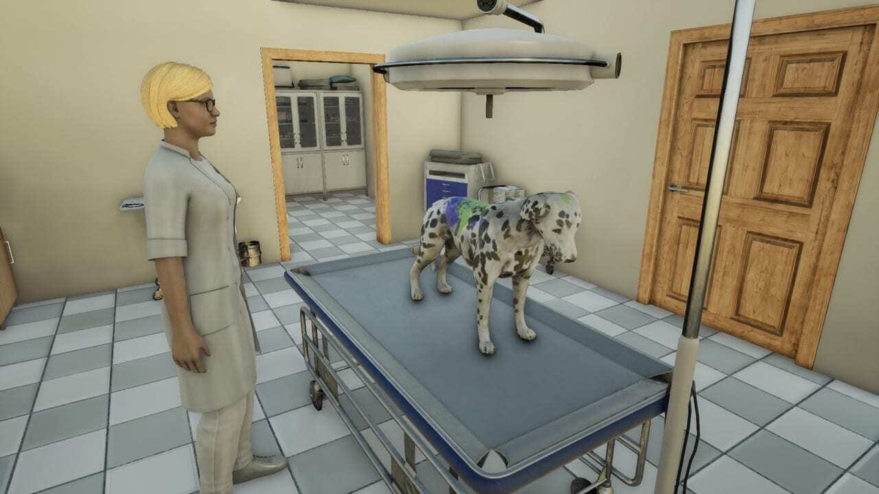 Screenshot for Animal Doctor