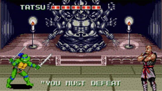Screenshot for Teenage Mutant Ninja Turtles: The HyperStone Heist