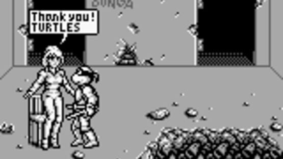 Screenshot for Teenage Mutant Ninja Turtles II: Back from the Sewers