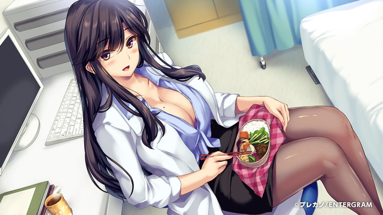 Screenshot for Boku to Joi no Shinsatsu Nisshi