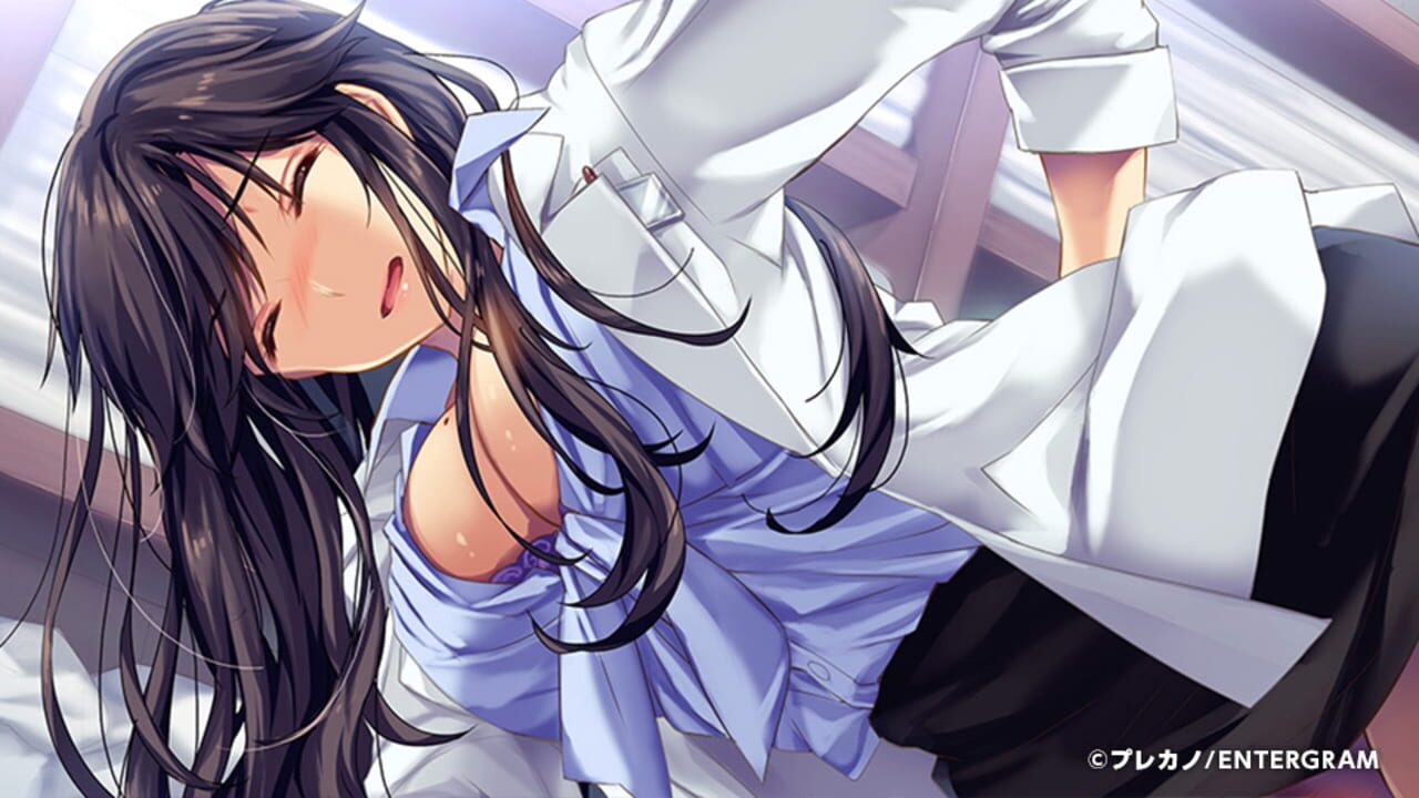 Screenshot for Boku to Joi no Shinsatsu Nisshi