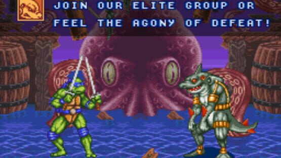 Screenshot for Teenage Mutant Ninja Turtles: Tournament Fighters