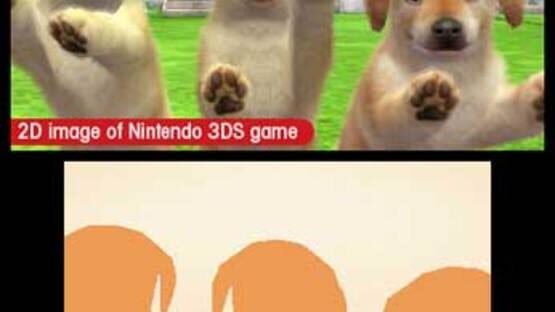 Screenshot for Nintendogs + Cats: Toy Poodle & New Friends