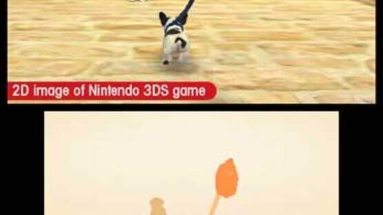 Screenshot for Nintendogs + Cats: Toy Poodle & New Friends