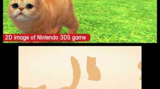 Screenshot for Nintendogs + Cats: Toy Poodle & New Friends