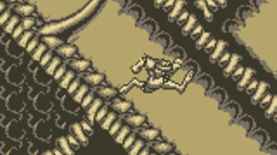 Screenshot for Battletoads