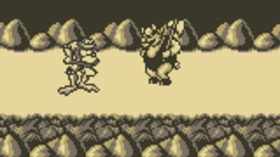 Screenshot for Battletoads