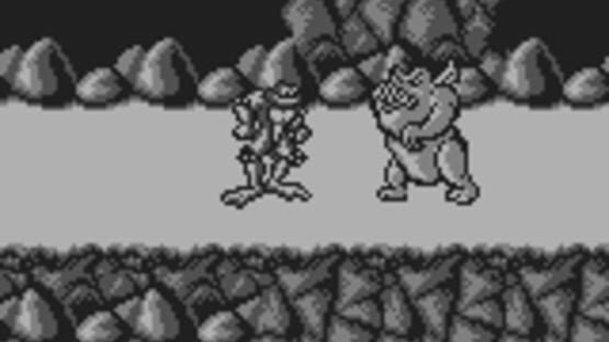 Screenshot for Battletoads