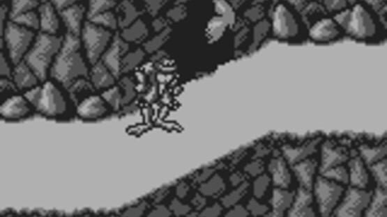Screenshot for Battletoads