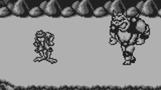 Screenshot for Battletoads