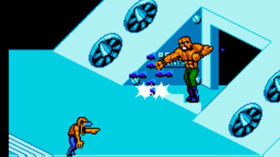 Screenshot for Battletoads / Double Dragon