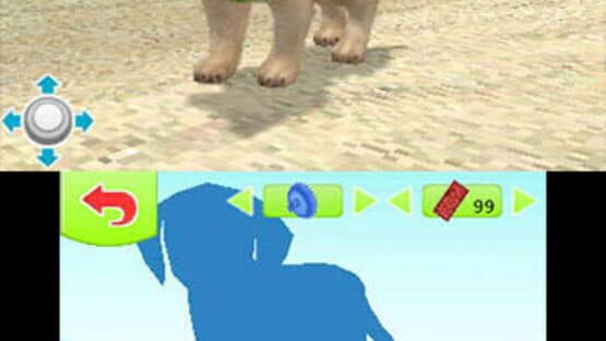 Screenshot for Petz Beach