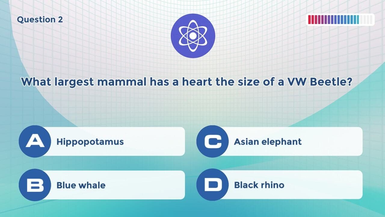 Screenshot for Knowledge Trainer: Trivia