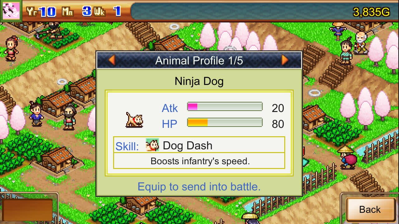 Screenshot for Ninja Village