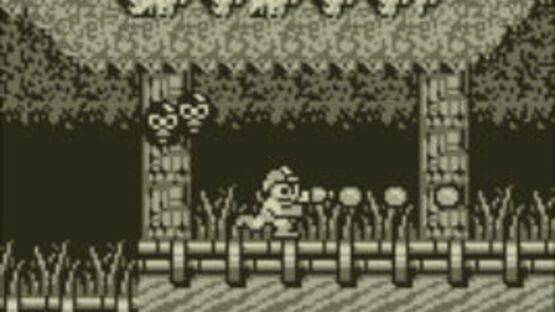 Screenshot for Mega Man II