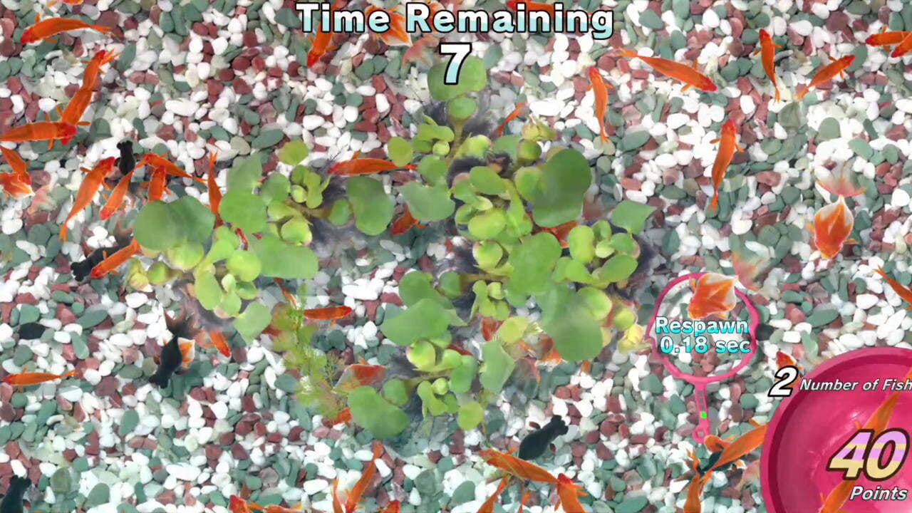 Screenshot for Catch 'Em! Goldfish Scooping