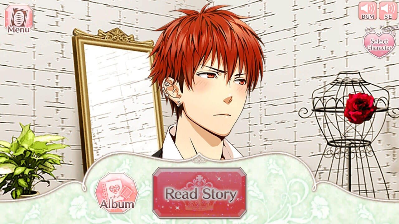 Screenshot for Princess Closet