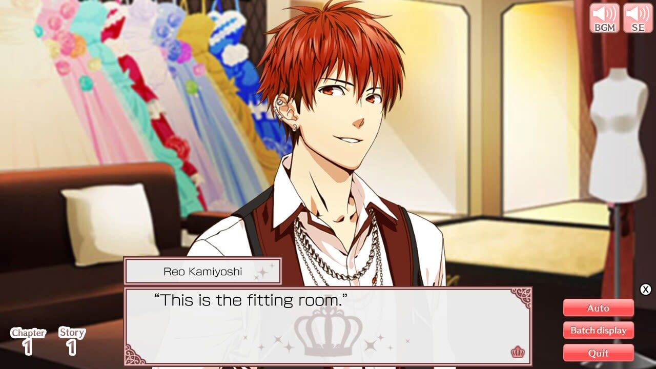 Screenshot for Princess Closet