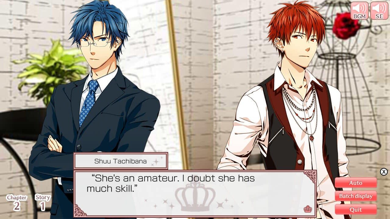 Screenshot for Princess Closet