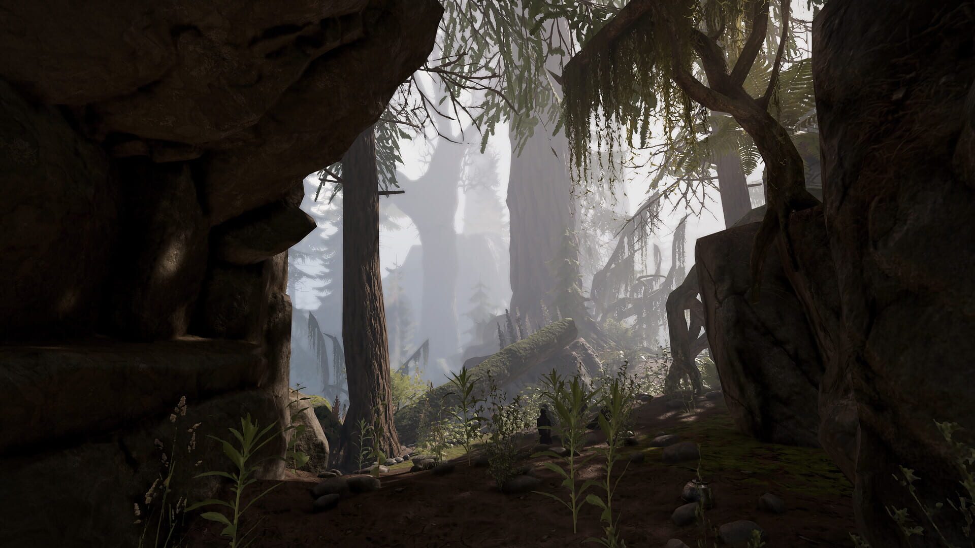 Screenshot for Warhammer: End Times - Vermintide Death on the Reik