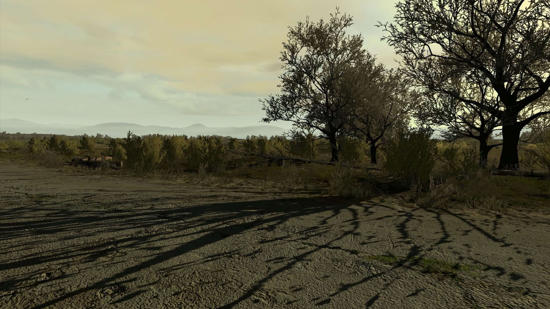 Screenshot for Arma 2: Private Military Company