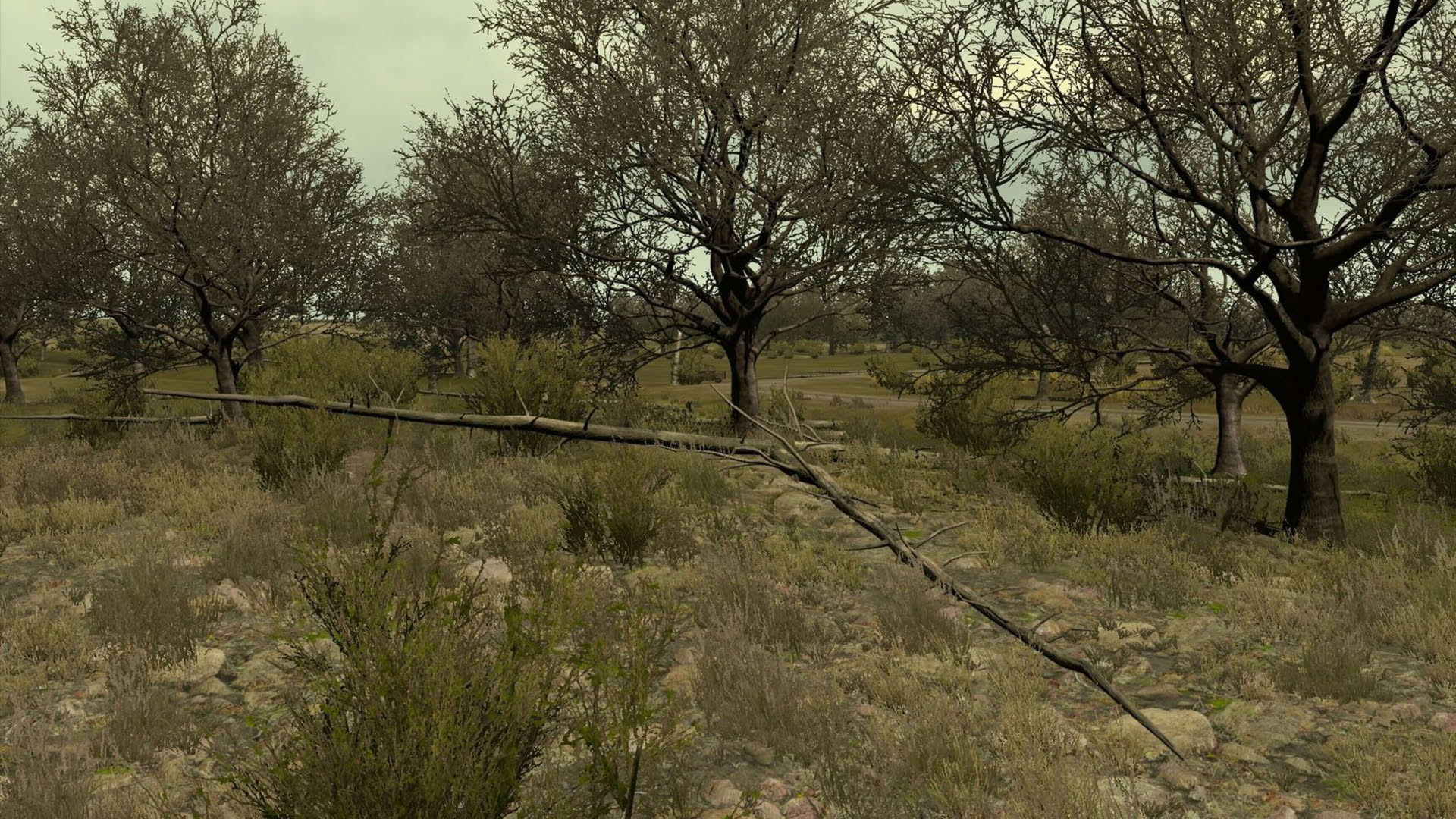 Screenshot for Arma 2: Private Military Company