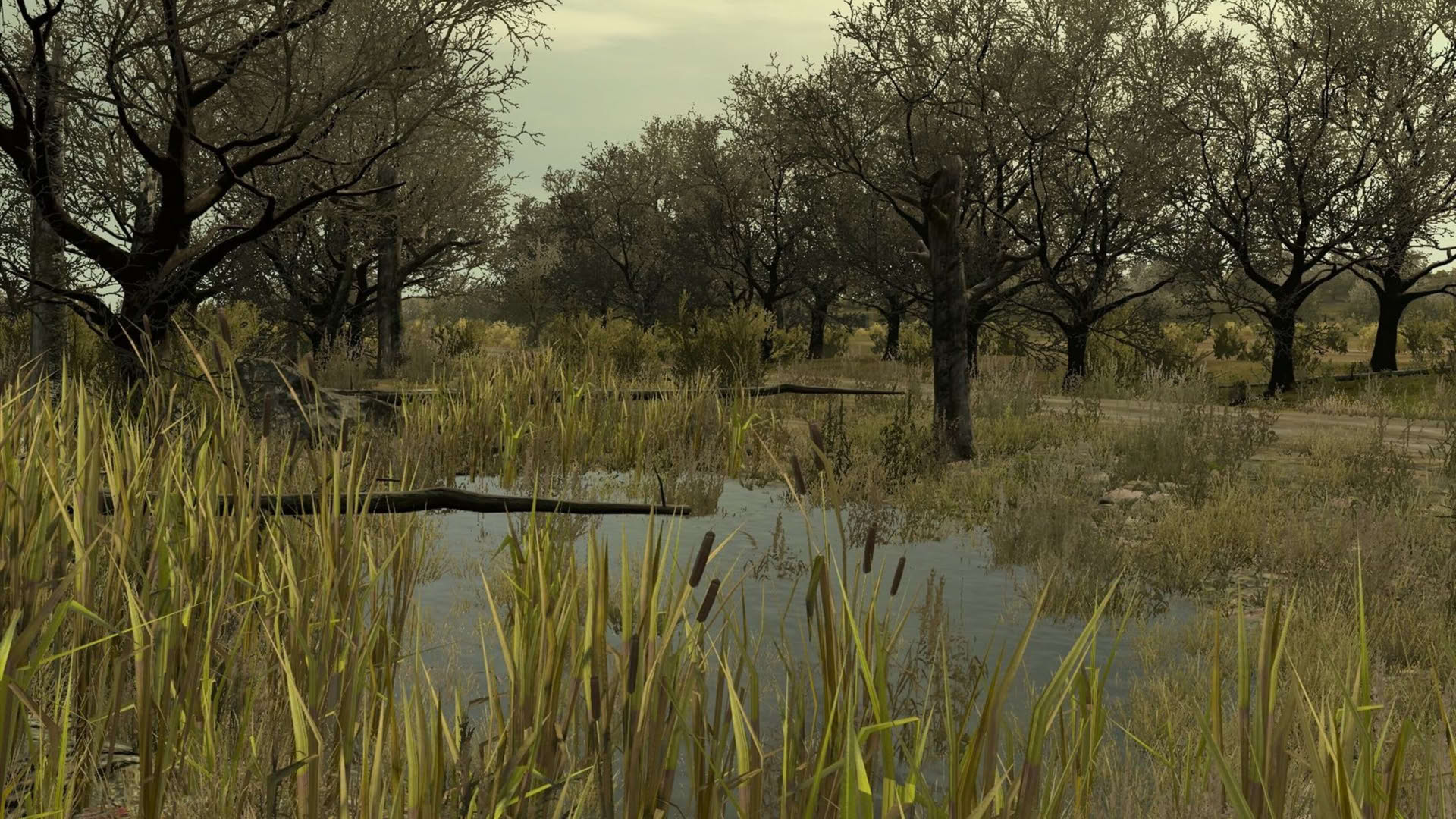 Screenshot for Arma 2: Private Military Company