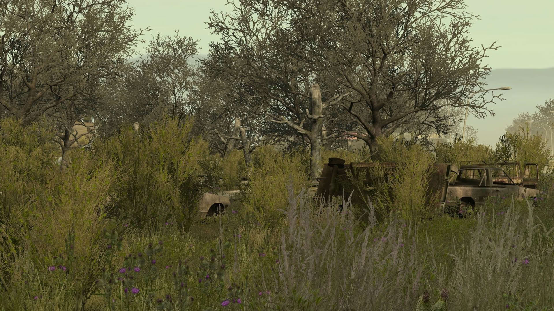 Screenshot for Arma 2: Private Military Company